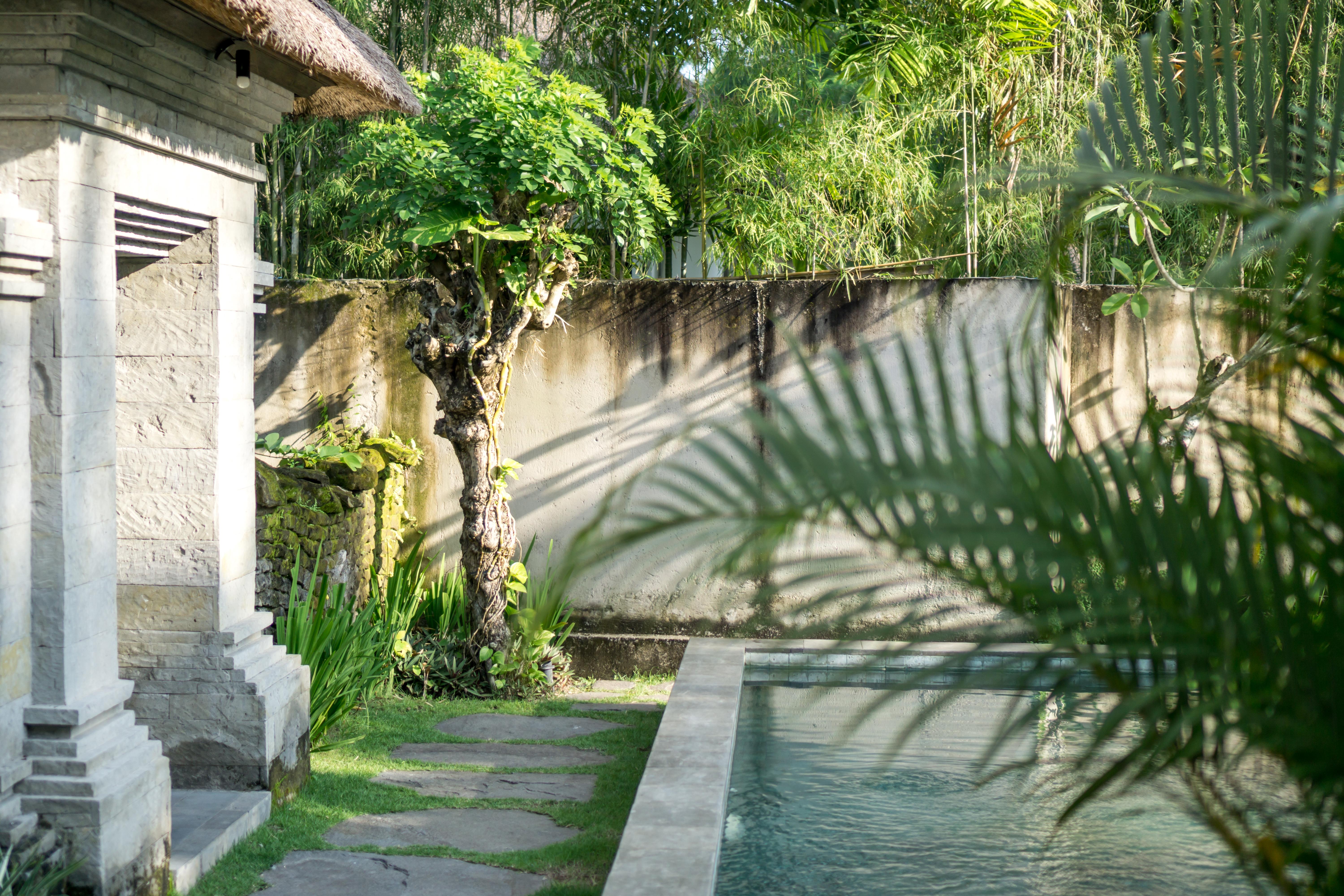 Radha Phala Resort & Spa Убуд Екстер'єр фото